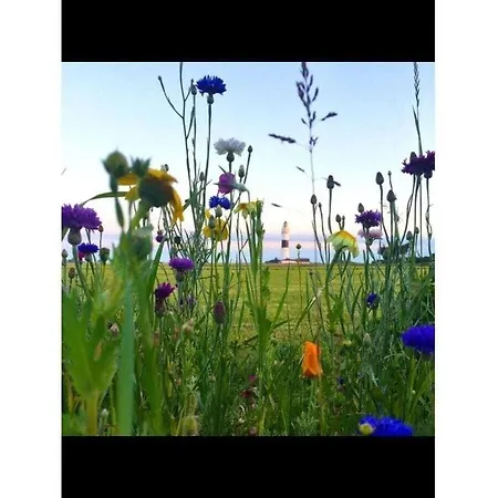 Colette And Oliver Ewald * Keitum